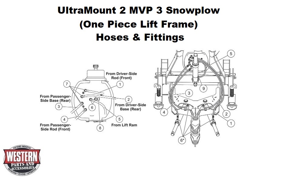 Hoses &amp; Fittings