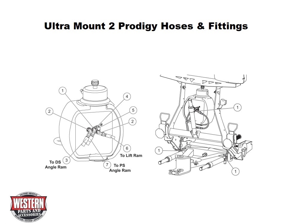 Hoses And Fittings